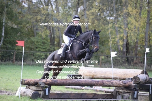 Preview berit schulz mit viabella s dream IMG_0229.jpg